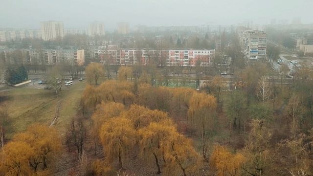 Погода в Гомеле 0+3.mp4 смотреть онлайн