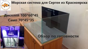 Морской аквариум в Красноярск. Обзор до отправки.