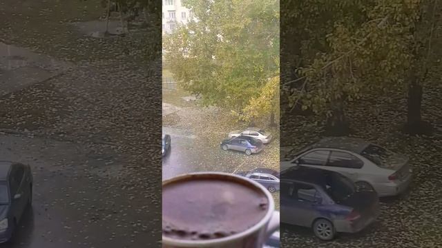 Осеннее утропросто красивая песня#2023#осень#sevenrose#музыкавмашину#песниолюбви#музыкадлядуши смотреть онлайн