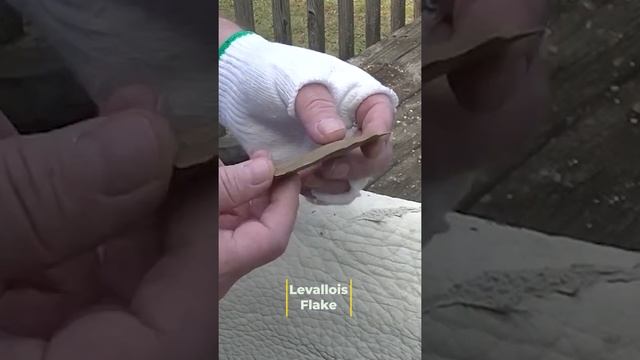 Biscuit thinning is related to Levallois Technique of Neanderthals - Flint Knapping смотреть онлайн