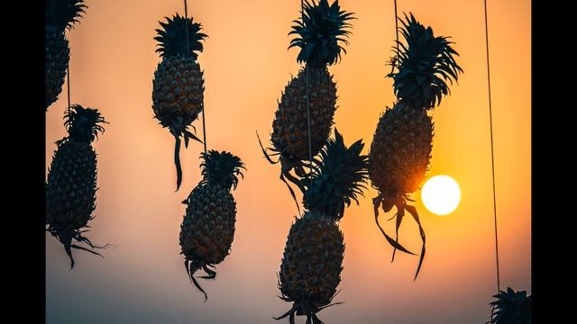 Indian Music Without Words! Индийская музыка без слов!