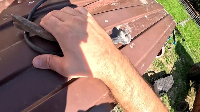 ОН УМЕР ! ПОТЕРИ В ХОЗЯЙСТВЕ ! СКОЛЬКО ВЕСЯТ ИНДЮКИ ? ХУТОР В ЛЕСУ №438