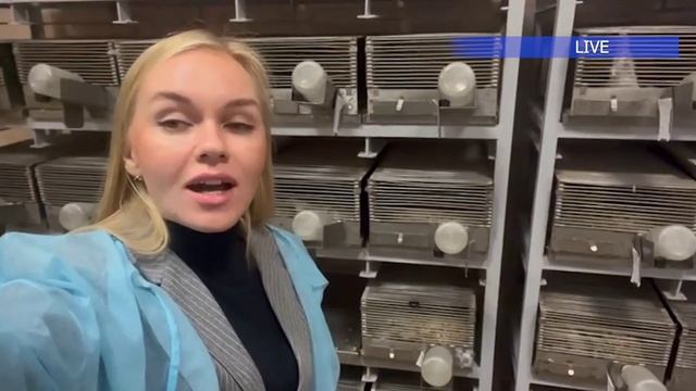 Шагни в науку: ИЦиГ СО РАН_генетика поведения.mp4 смотреть онлайн