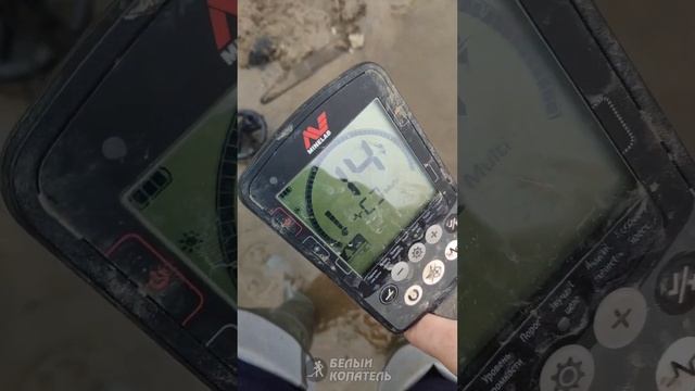 Вот почему надо копать все сигналы, чтобы не пропустить золото! смотреть онлайн
