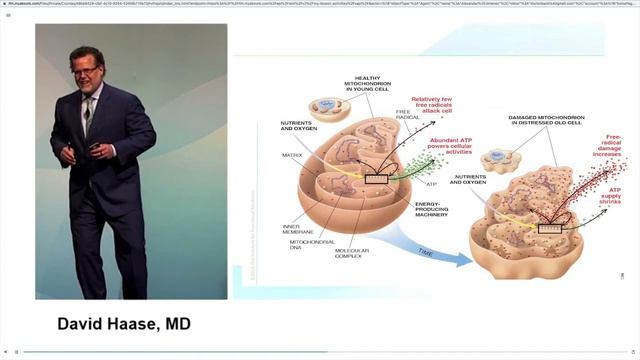 ***Mitochondrial Assessment**** and Therapeutics (3/3) | El Paso, Tx (2021) смотреть онлайн