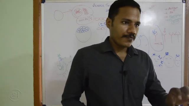 ANTIGEN PRESENTATION part 4 of 4 смотреть онлайн