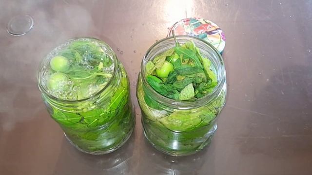 TƏNƏYİN QIŞA BAĞLANMA QAYDASI.TƏZƏ YARPAĞIN BUZLUQDA DÜZGÜN SAXLANMA QAYDASI. смотреть онлайн