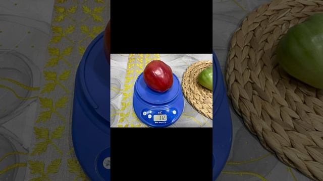 Томат Мазарини. смотреть онлайн