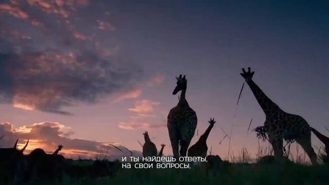 Нашид тоска самый красивый нашид успокаивающий нашид мощный нашид смотреть онлайн