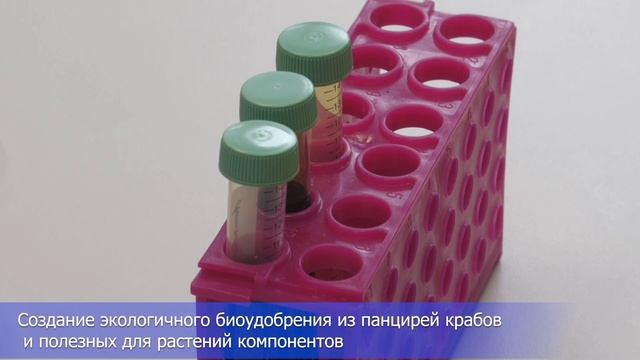 Шагни в науку: НГТУ НЭТИ_биоинженерия.mp4 смотреть онлайн