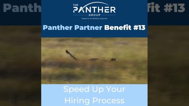 Panther Partner Benefits: Speed Up Your Hiring and Staffing Programs смотреть онлайн