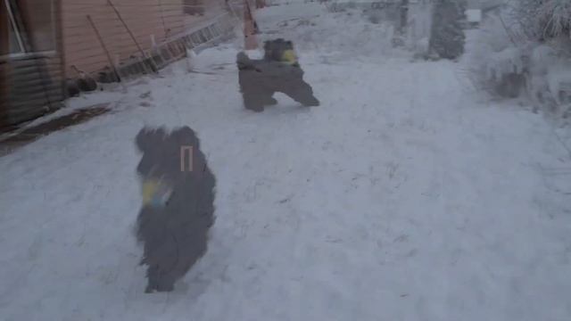 Тиара 30 11 22 . смотреть онлайн