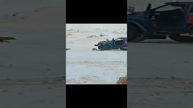 Лисы смотреть онлайн