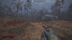 Рыжий лес. Ведьмин круг