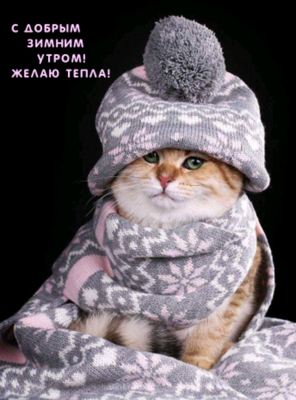 скоро стрим Really