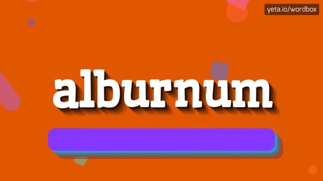 HOW TO PRONOUNCE ALBURNUM? #alburnum смотреть онлайн