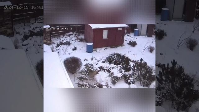 Они золотые.. Скайфиши смотреть онлайн