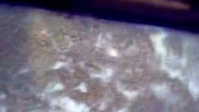 приключения Кота по имени Паштет . ЧАСТЬ 1 смотреть онлайн