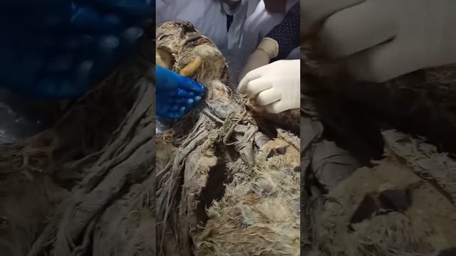 тыки смотреть онлайн