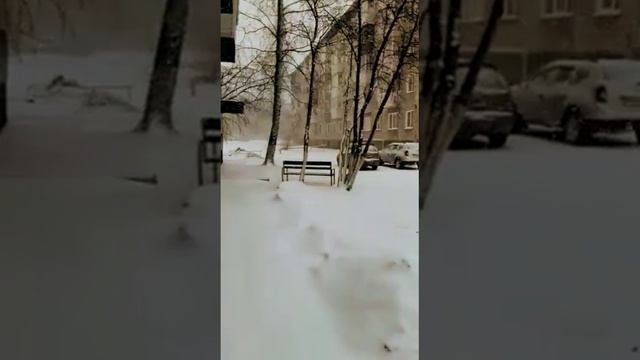 Снежныйапрель18.23#снегвесной#снегкружится#виапламя#ретро#шлягер#песнятоп#музыкадлядуши#ссср смотреть онлайн