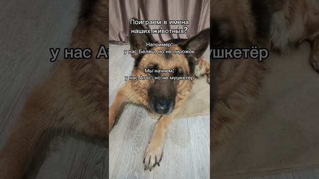 Пишите ваши варианты в комментариях 😁 смотреть онлайн