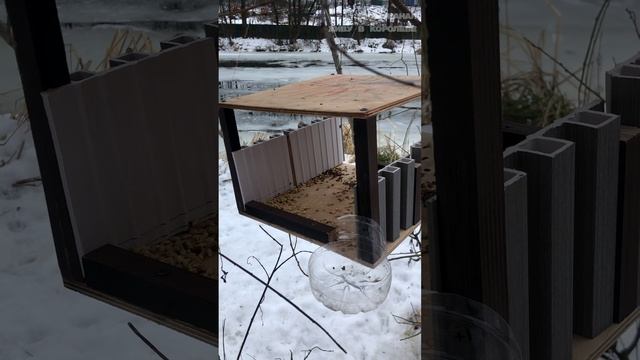 Кормушки для птиц в ЖК Ривер Парк на берегу реки смотреть онлайн