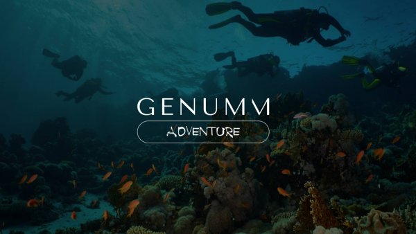 Изменение условий тарифа PRO с 11 января. Итоги недели GENUMM от 28 декабря 2024.