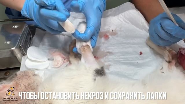 Мальчишка Гарлин и его длинный путь к здоровому счастью! смотреть онлайн