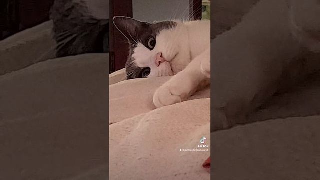 НЕ ОПАЗДАЙ! смотреть онлайн
