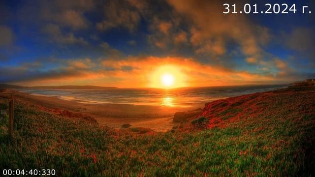 875 Хронология 31.01.2024 г смотреть онлайн