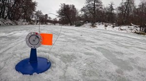 ПО ПЕРВОМУ ЛЬДУ БЫВАЕТ И ТАКОЕ! ЛОВЛЯ ЩУКИ НА ЖЕРЛИЦЫ ЗИМОЙ! ПЕРВЫЙ ЛЕД 2024-25!! Рыбалка 2024