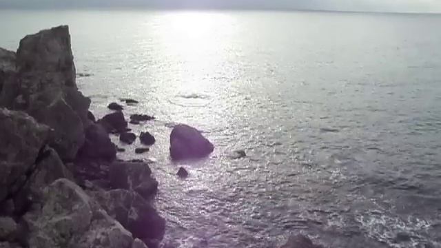 Жизнь жизнь.AVI смотреть онлайн