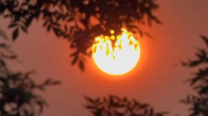 Эта Музыка Излучает Изумительное Умиротворение и Спокойствие! Можно слушать вечно