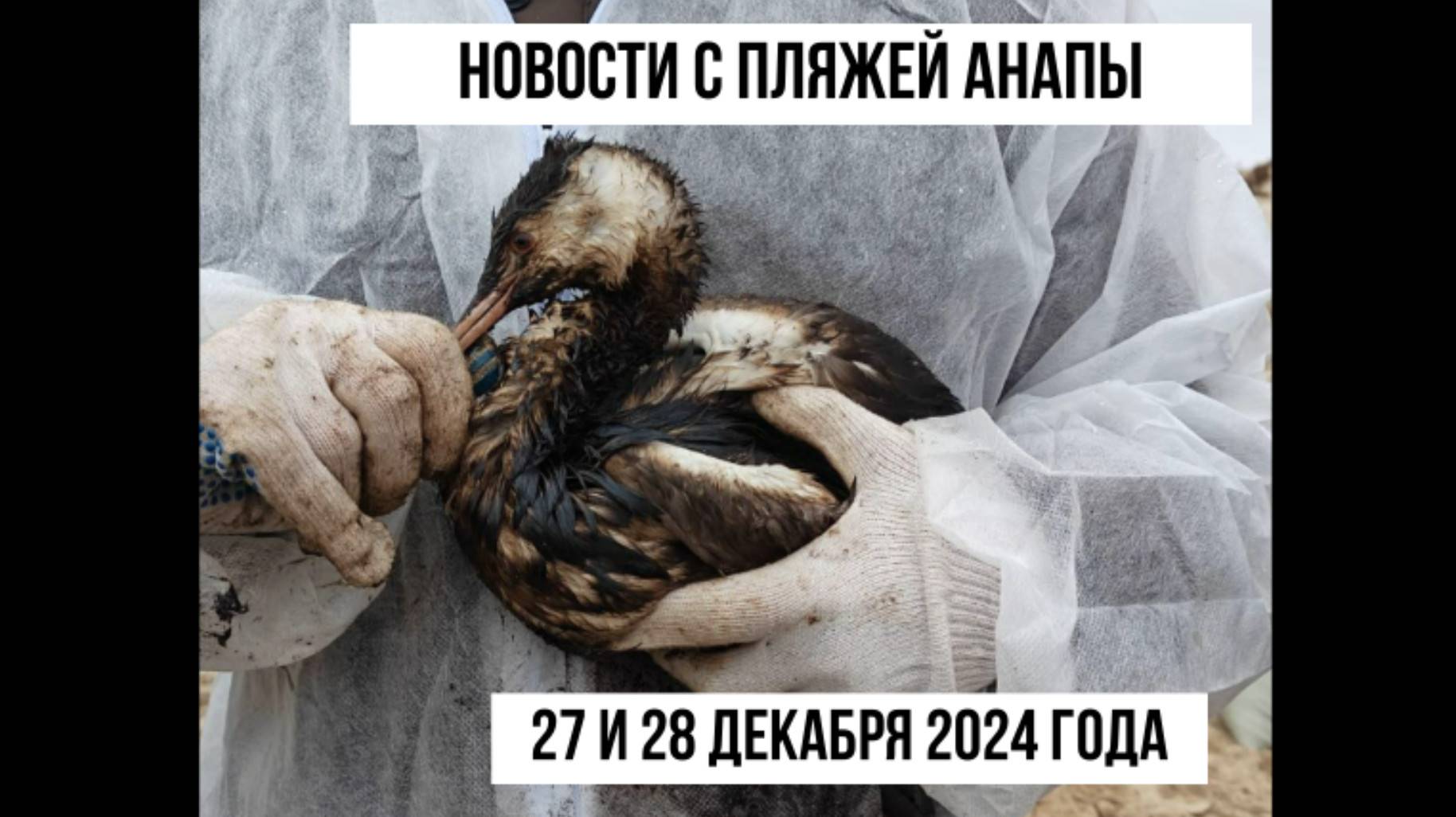 Новости с пляжей Анапы, 27 и 28 декабря 2024 года смотреть онлайн