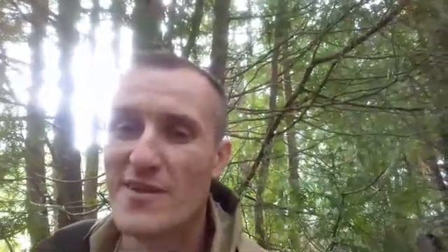 Сергей / Интенсив школы Гивина смотреть онлайн