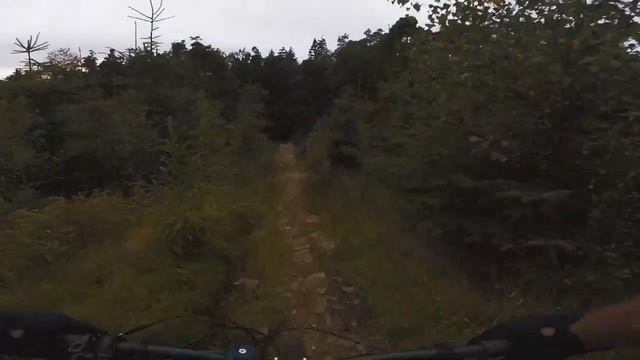 Gisburn Forest Trails On Focus Jam2  Haibike Nduro & some clockwork bikes!