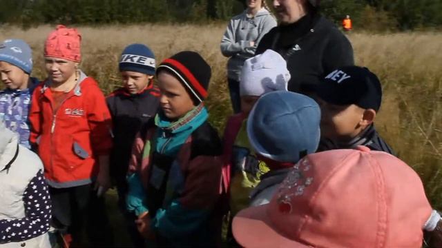 Полоса препятствий смотреть онлайн