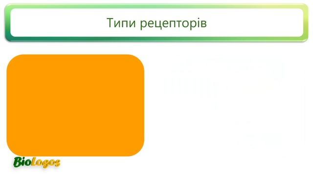 Сенсорні системи організму людини смотреть онлайн