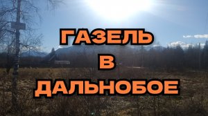 #236. У газелистов есть свой ангел!