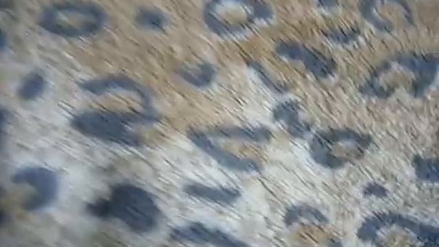 Ставим на медленную стерилизацию все наши заготовки смотреть онлайн