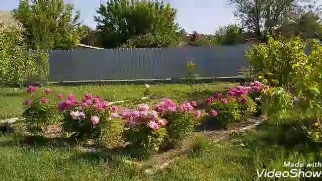 ЗАВТРАК В КОМПАНИИ СЕСТЕР И ЗЯТЕЙ.ОТЬЕЗД В АЛМАТЫ. смотреть онлайн