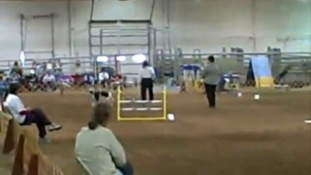 AKC Agility Trial April 26-27, 2008 - The Musical (Part Two) смотреть онлайн