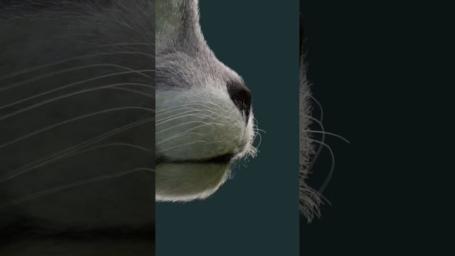 Эдит Чикен Ган☝