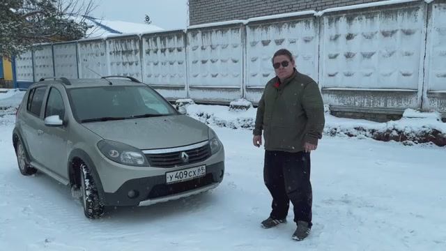 Renault Sandero Stapway надёжность в наших ревлиях