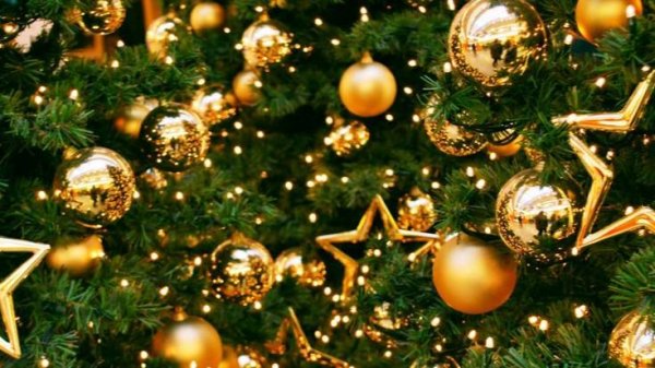 ПОЗДРАВЛЕНИЕ С НОВЫМ 2025-ЫМ ГОДОМ! А ВЕДЬ ЭТО ГОД ЗМЕИ!