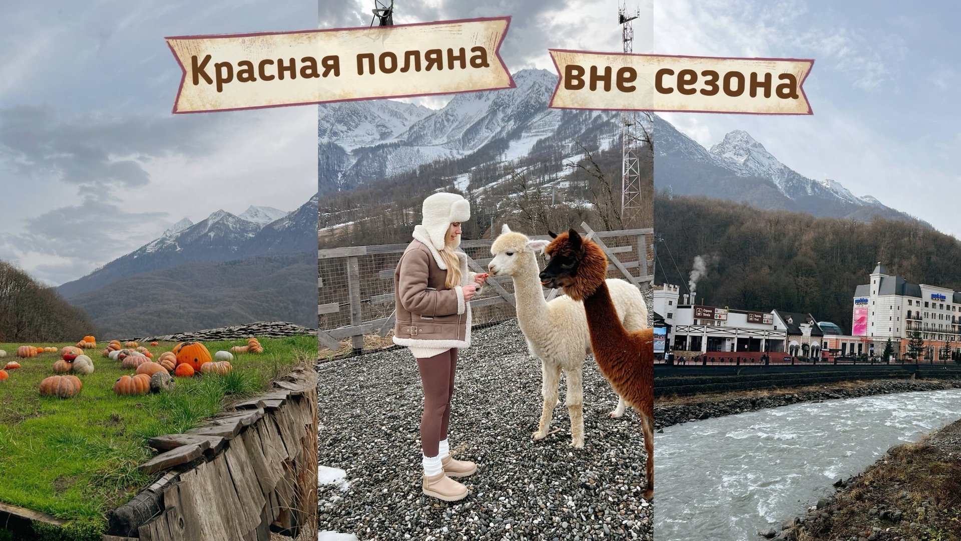 Красная поляна вне сезон | Парк альпак | Горы | Ресторан Яблоки Печем | Роза Хутор | Эсто-садок Сочи