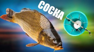 Рыбалка на карася весной НА СОСКУ