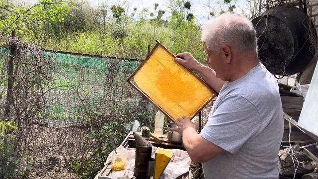 ВЕСЕННИЕ РАБОТЫ НА ПАСЕКЕ