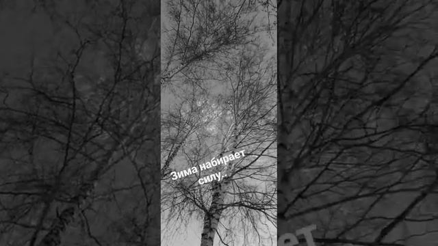 Сибирская зима набирает силу#зима#пениептиц#сибирскиепросторы#красотавокруг#музыкатоп#galaktionova смотреть онлайн