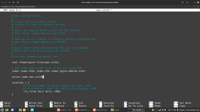 Servicios de red: Sirviendo múltiples Virtualhosts con Nginx en Linux смотреть онлайн